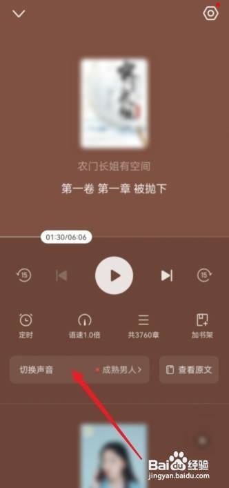 书旗小说怎么听书设置自己朗读