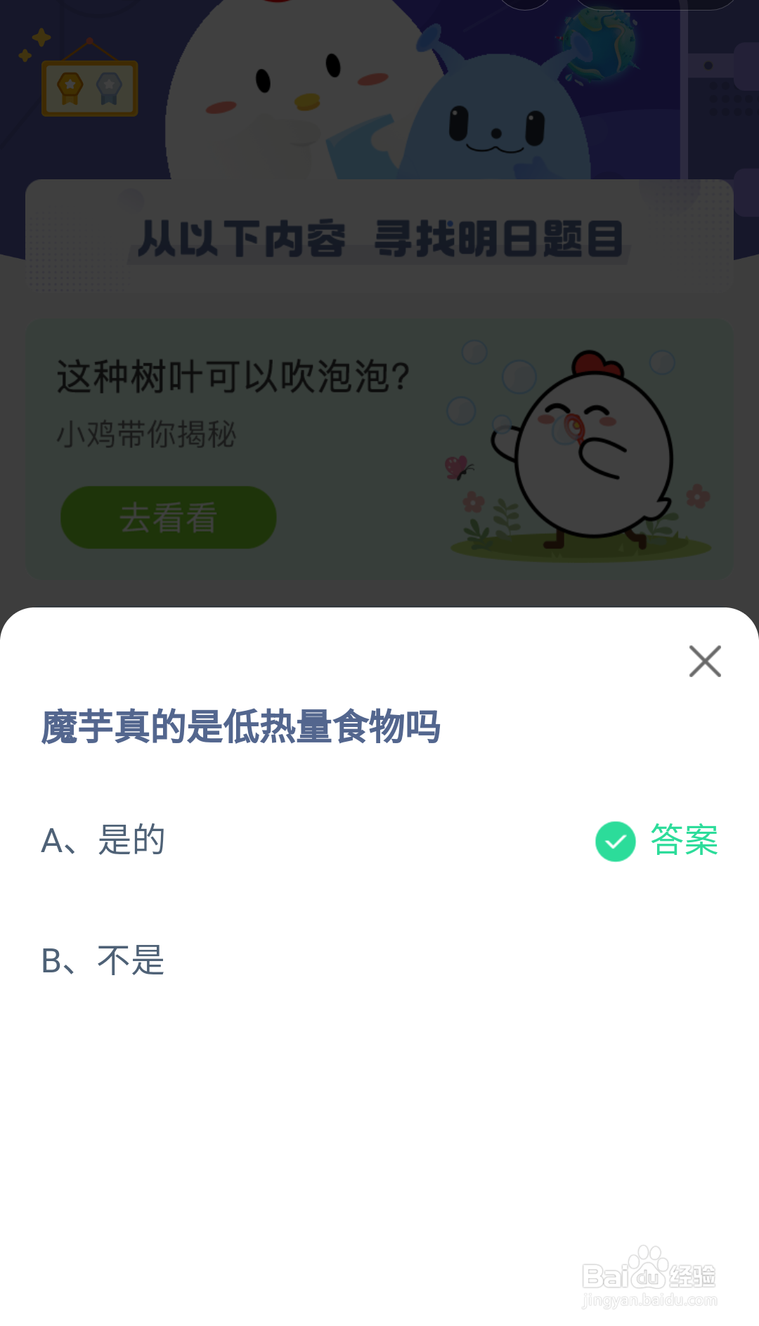 魔芋是低热量食物么