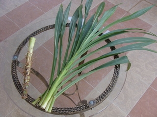 养生马草汁制作方法