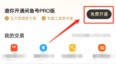 闲鱼在哪里开通pro版