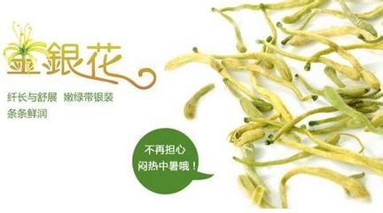幼儿流鼻涕怎么办