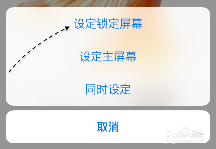 iPhone6s金鱼壁纸不动,6s金鱼壁纸不动