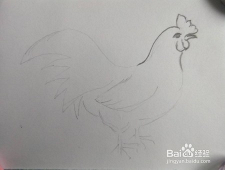 公鸡画法教程(1)亲子简笔画,怎么画公鸡