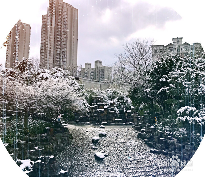 冬天来了出外旅游上海一走看初雪公园雪景真美