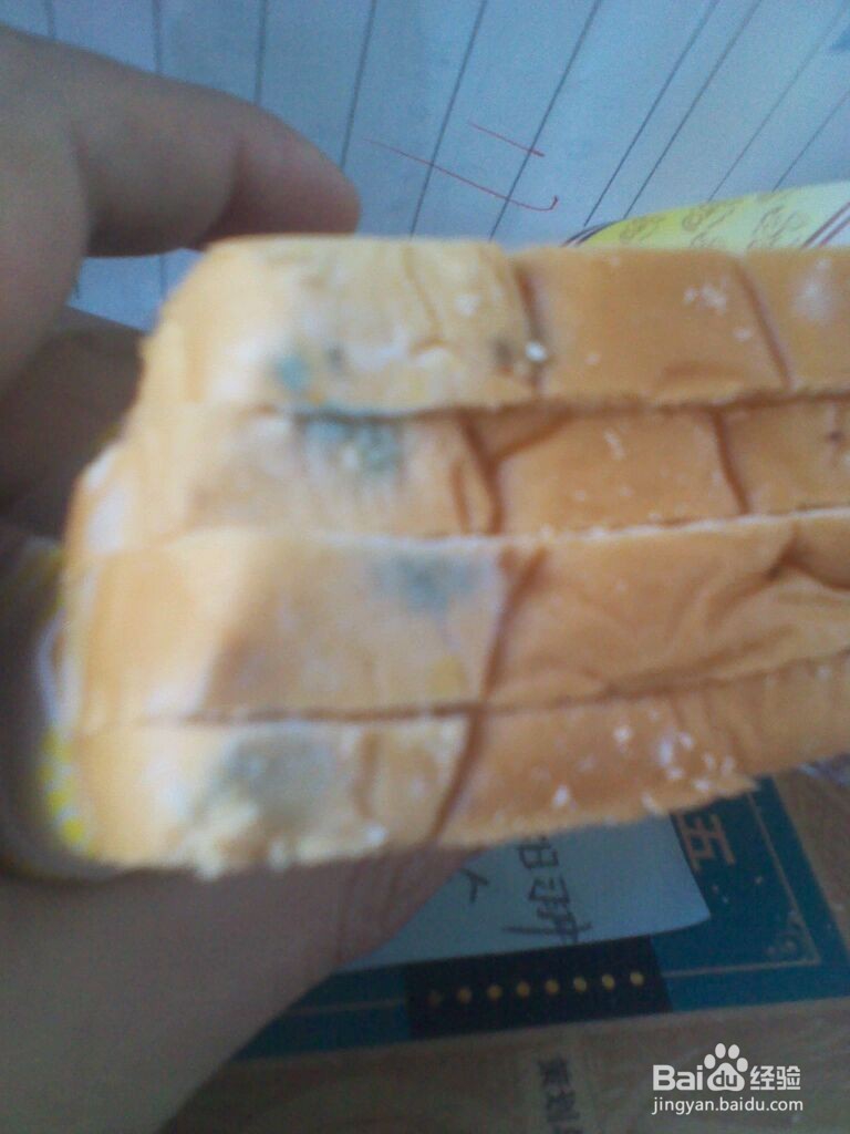 如何识别变质食物的味道