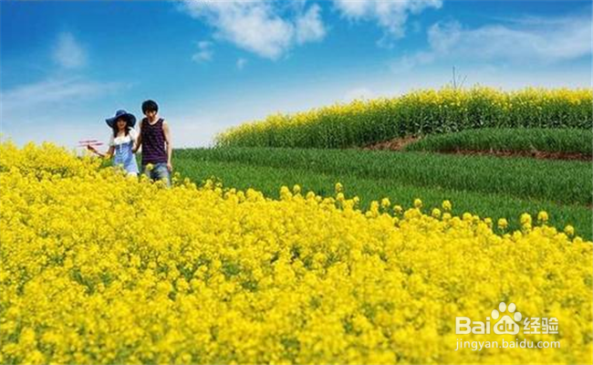 讨女生欢心的小诀窍