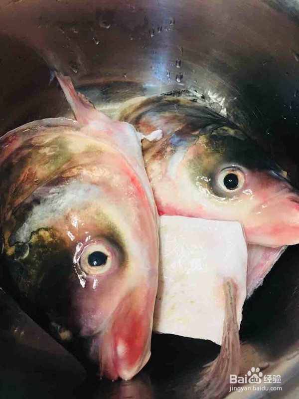 鱼头炖粉皮的做法