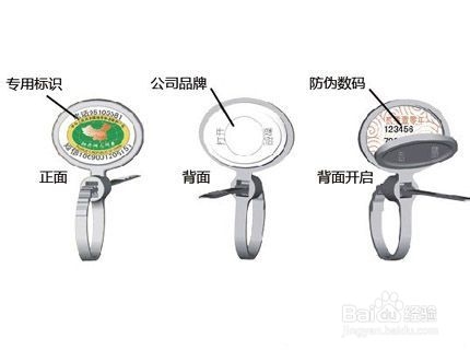 如何鉴别真假阳澄湖大闸蟹