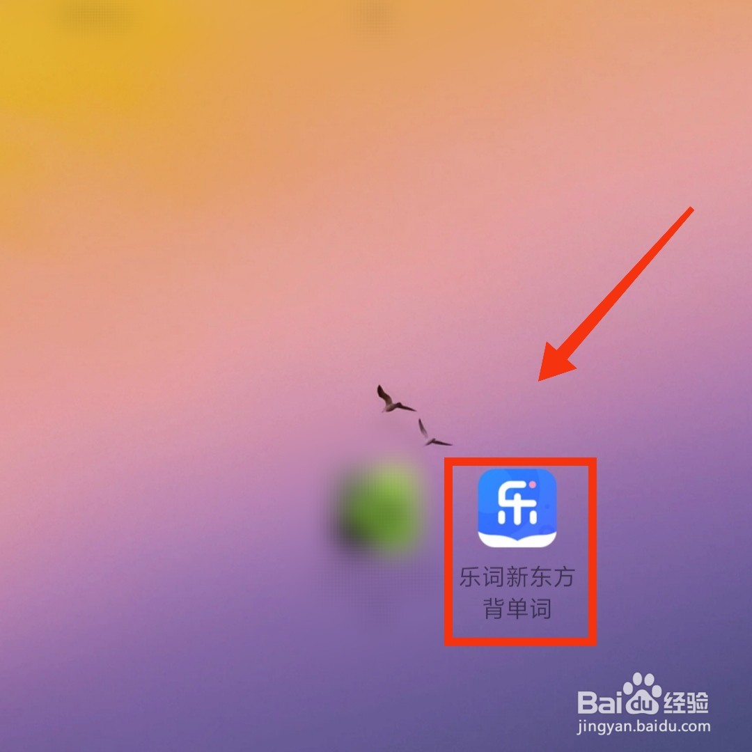 乐词APP的背词小组在哪打开