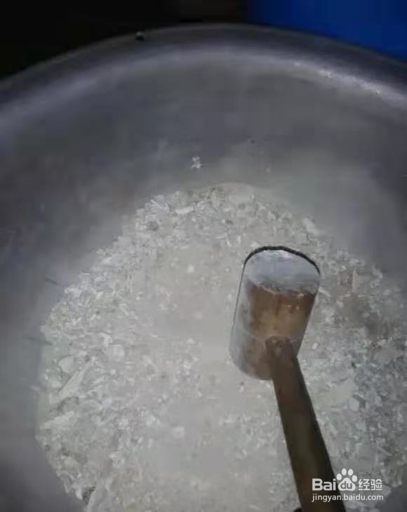 养君子兰，盆边撒点“小东西”，不施肥，开爆盆