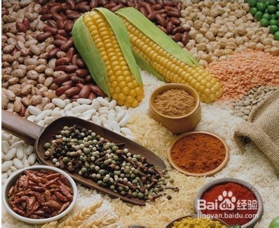 拉肚子能吃什么食物