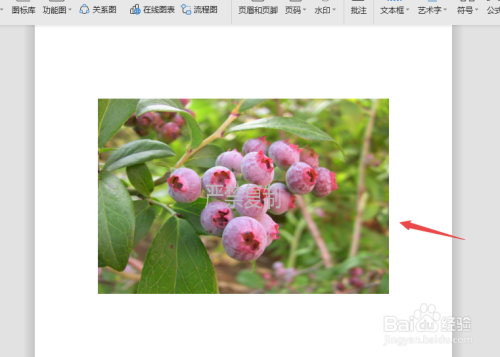 WPS2019文字如何给图片添加水印