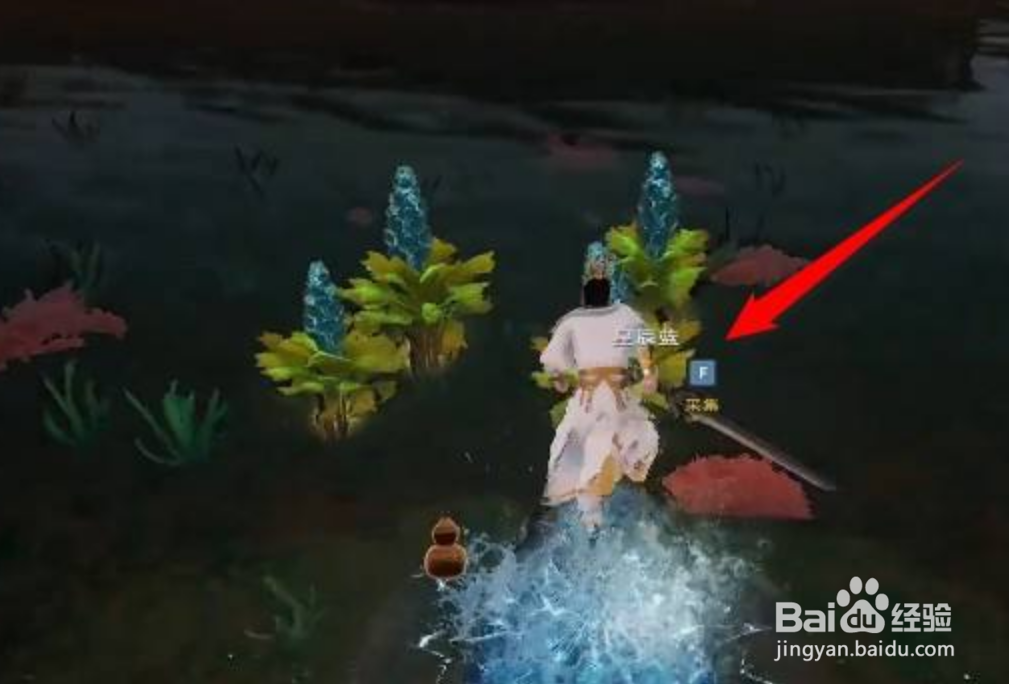 太荒初境星辰兰怎么获得