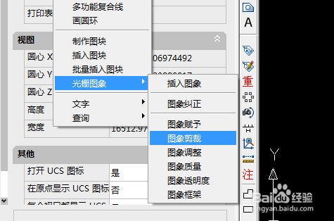 cass9.1小技巧之光栅图像