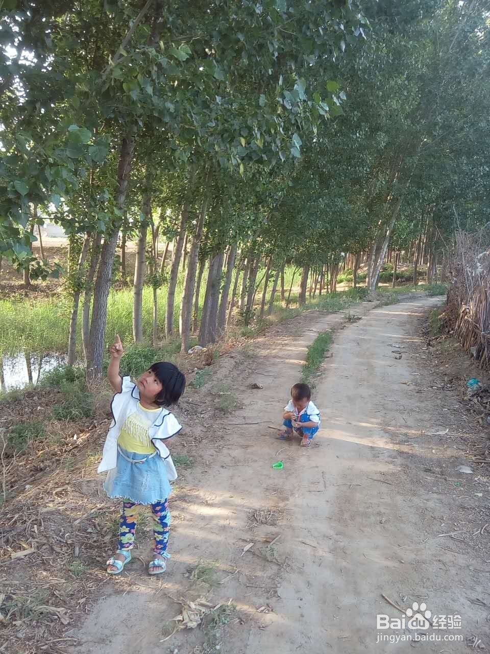 如何增加宝宝食欲