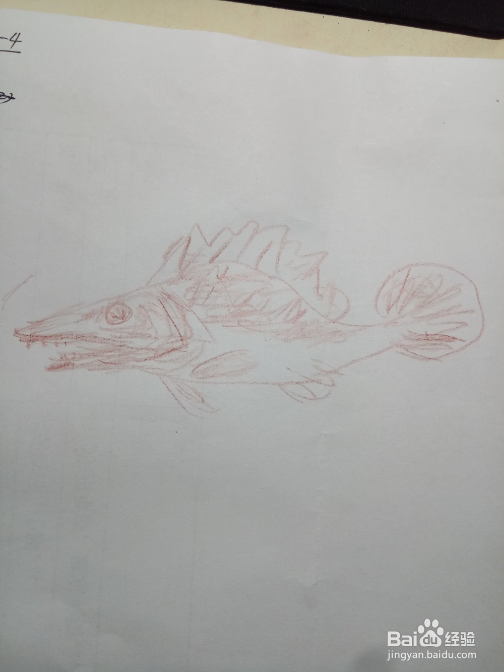 简笔鳜鱼画法