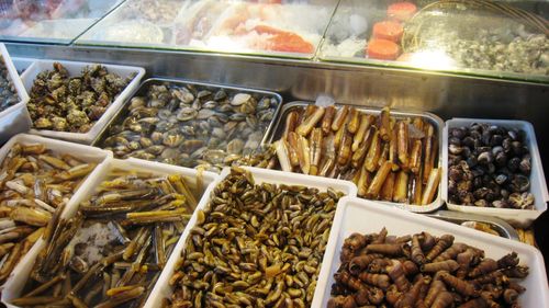 怎样在三亚海鲜最实惠