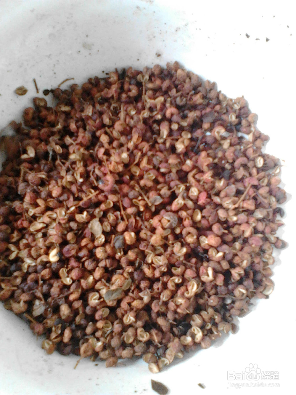 猪肉粉条炖白菜