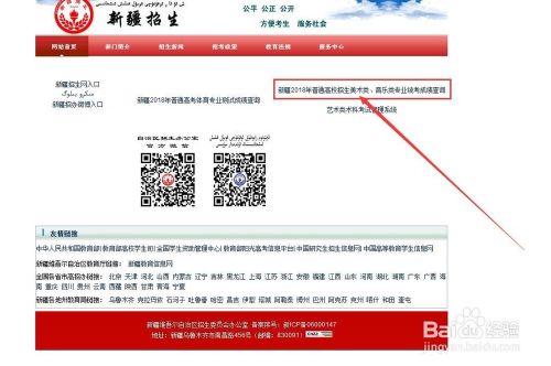 如何查询新疆普通高考体、美、音乐专业测试成绩