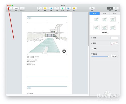 Pages文稿中的"项目建议书"模板如何使用