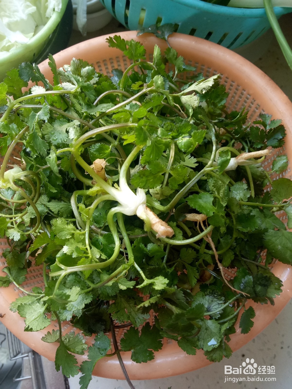 砂锅卤鸡爪炖白菜