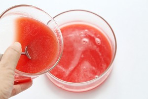 荔枝西瓜酸奶冻的做法