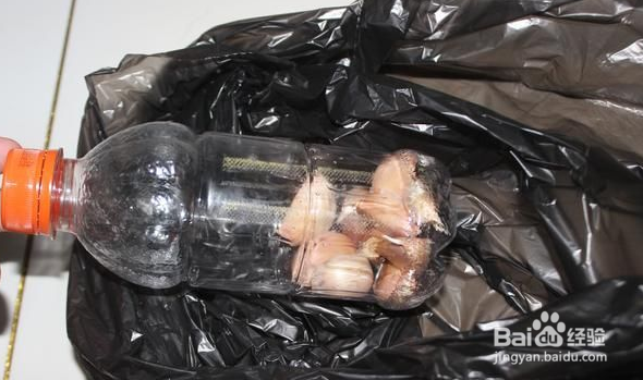 蒜头怎么保存才不会坏