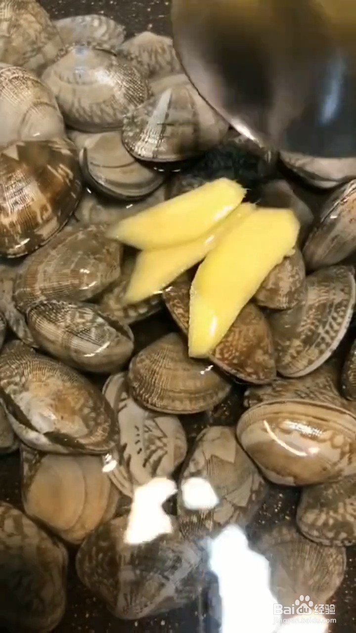 怎么做花甲蒸蛋