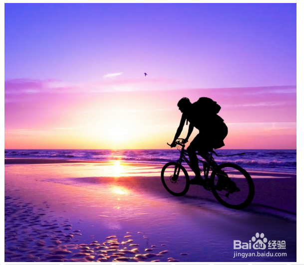 骑行出行应该注意什么