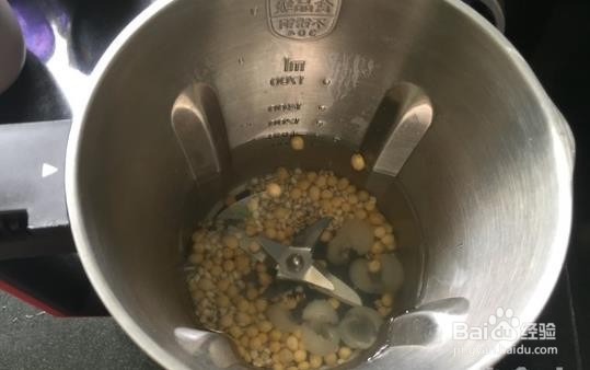 桂圆薏米豆浆的做法