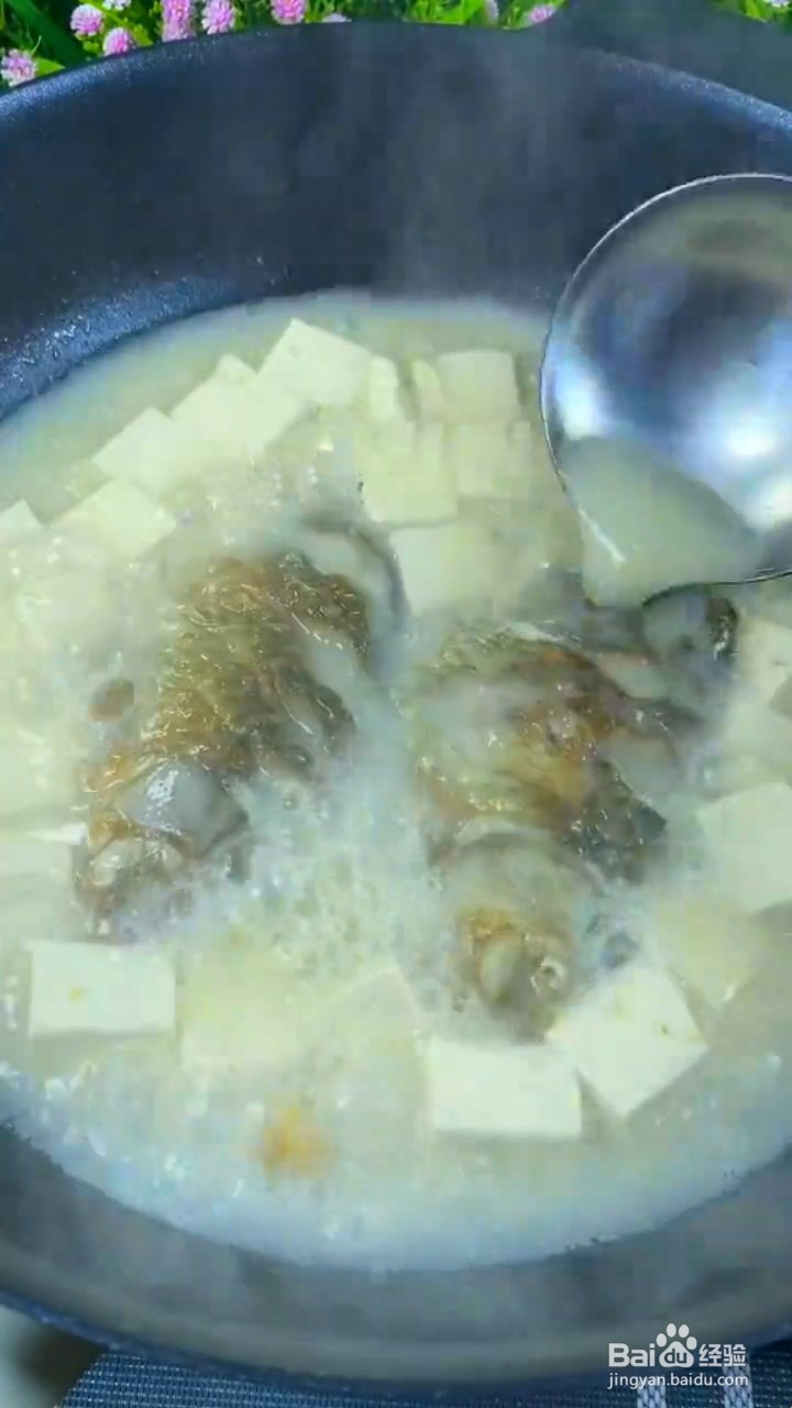 如何制作鲫鱼炖豆腐