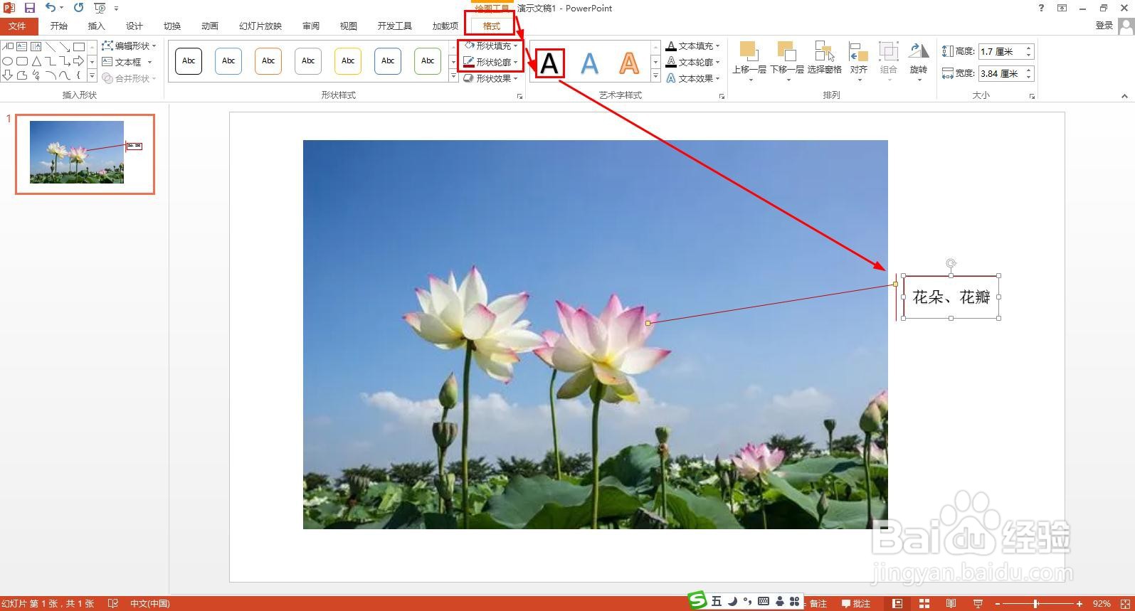 荷花的组成部分图解