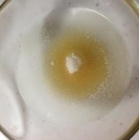 芒果果冻的做法