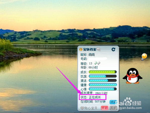 如何让Q宠暂停成长？