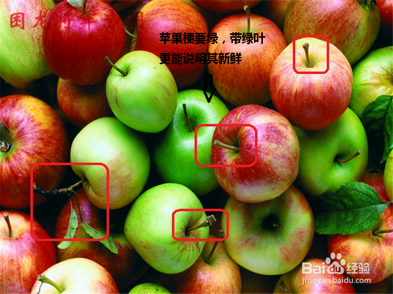 教你怎么挑选好苹果