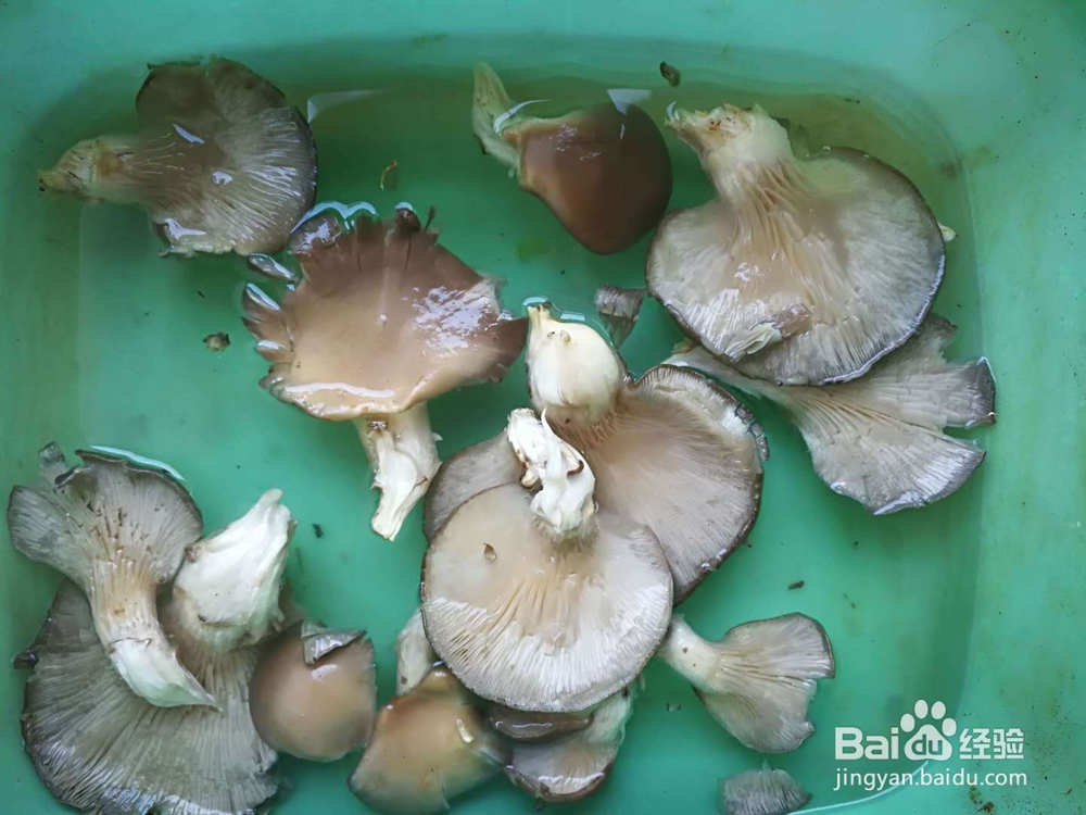 牛肉蘑菇豆角拌面
