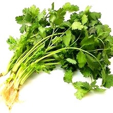 香菜的功效和营养价值