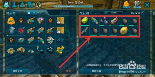 异齿龙饲料怎么做