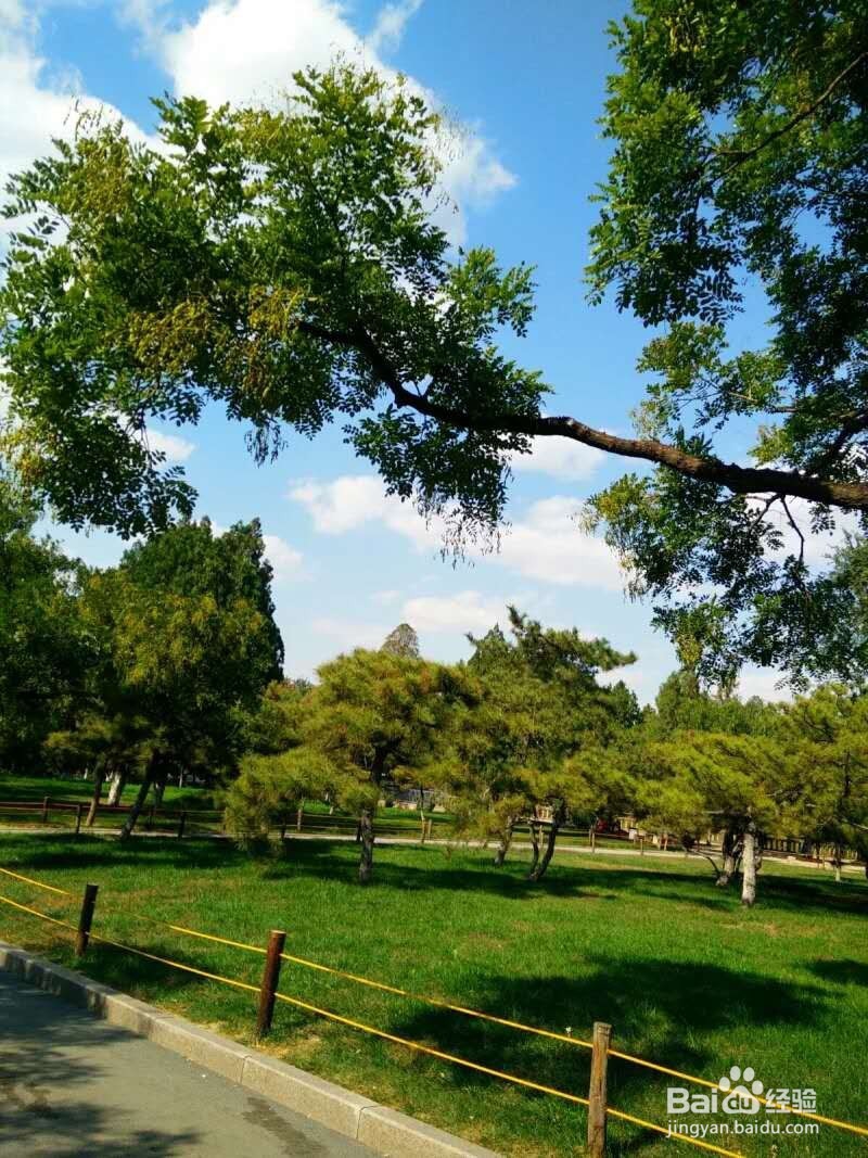 很多人不知道的护肺小门道