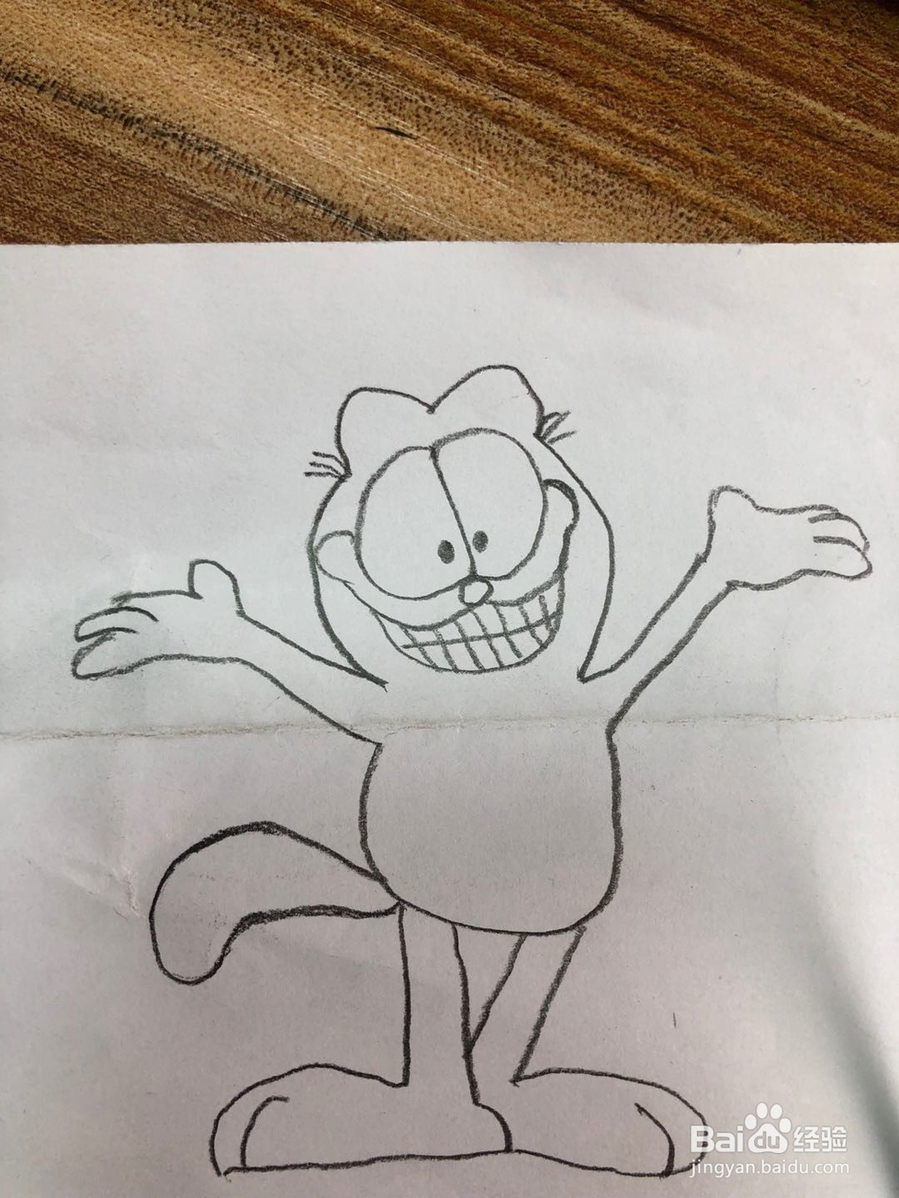 加菲猫的简笔画