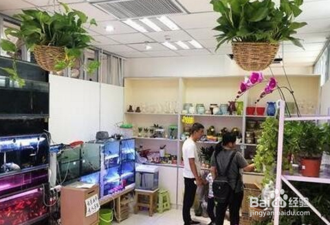 无人售货店怎么付款
