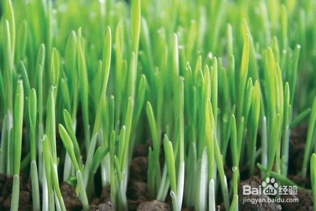 生活中如何预防脑血栓