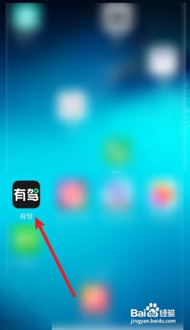 如何查看有驾APP的金币明细