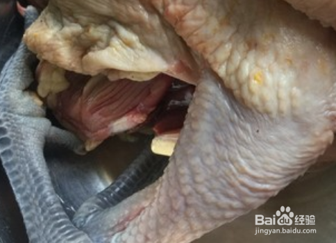 如何烹饪槽香三黄鸡？