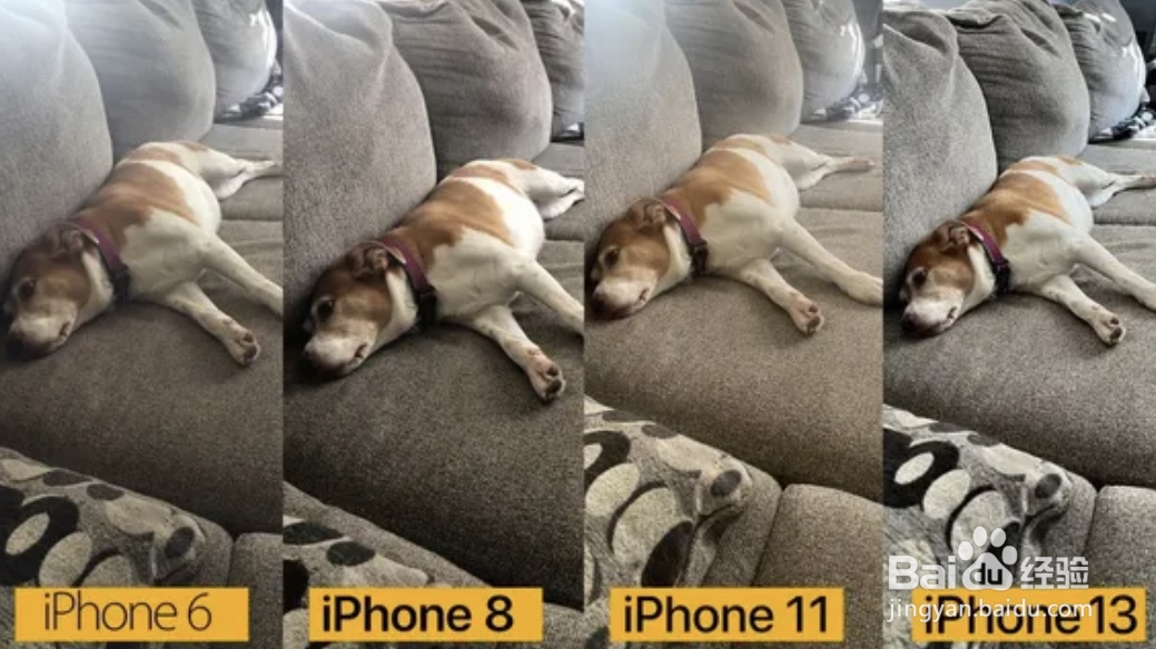 iphone机型摄像头对比