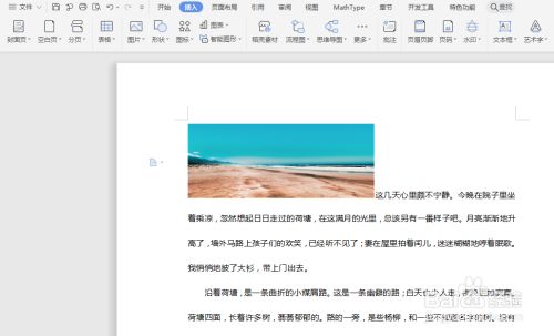 wps排版 全网资源