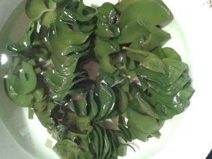 裙带水豆腐鲜汤