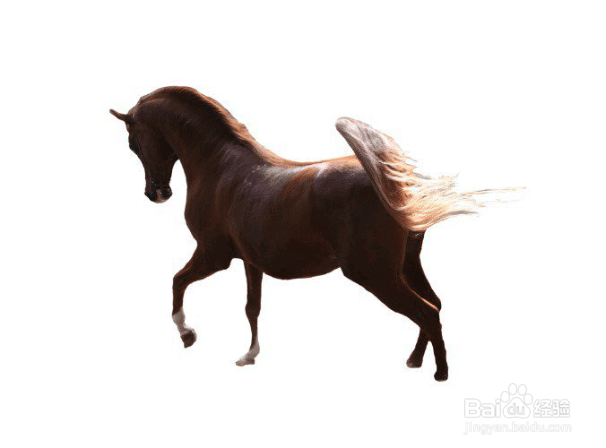 PS建筑插画教程