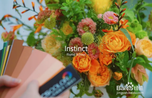 学习色彩搭配可参考的内容，色彩搭配的外观设计