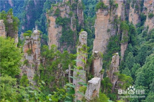 张家界旅游攻略,旅游景点路线和防骗常识